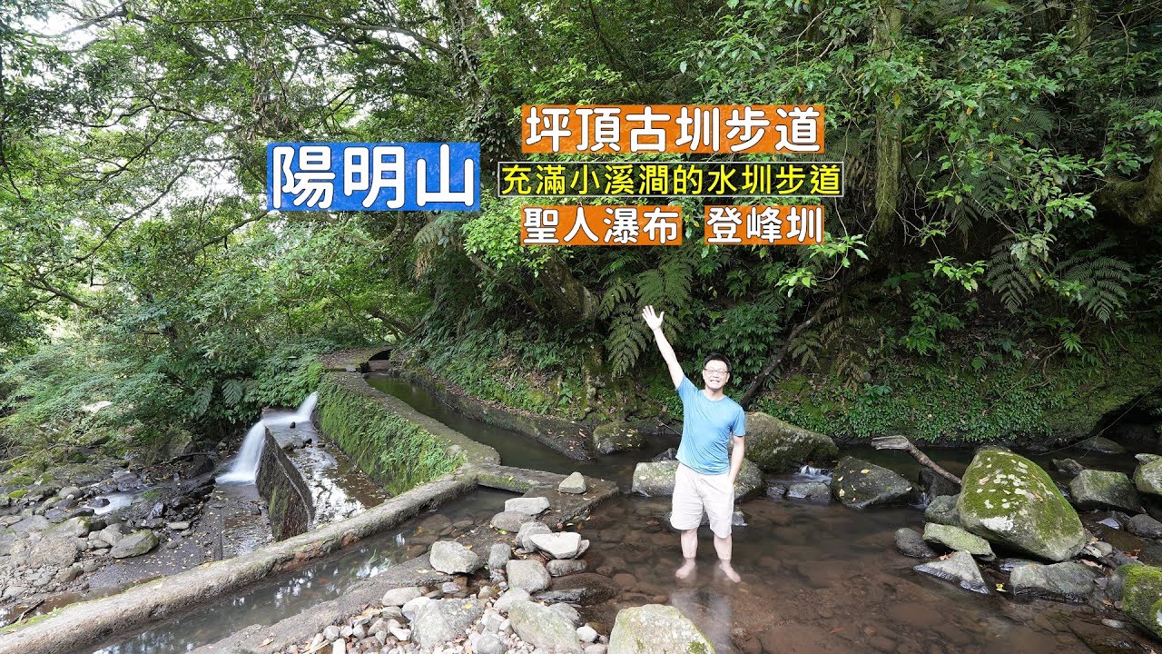 陽明山坪頂古圳步道，全程森林與小溪澗的水圳步道 夏日降溫必訪的大自然消暑景點