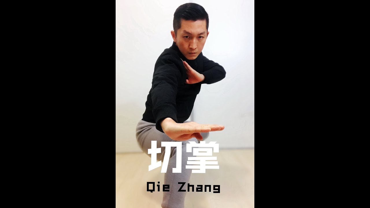Wushu Kung Fu en Casa Día 172 Nanquan Combinación 4 南拳组合