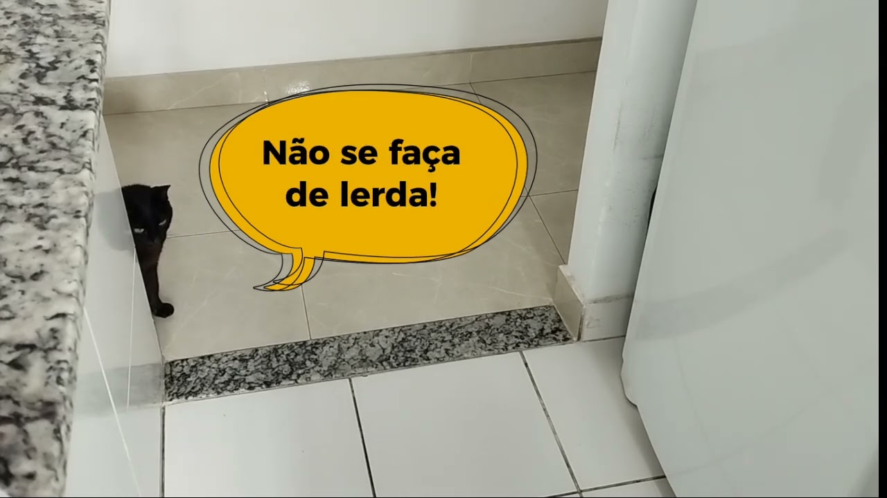 A decepção da Gata Bella... Acha que é carne, mas é pimentão 