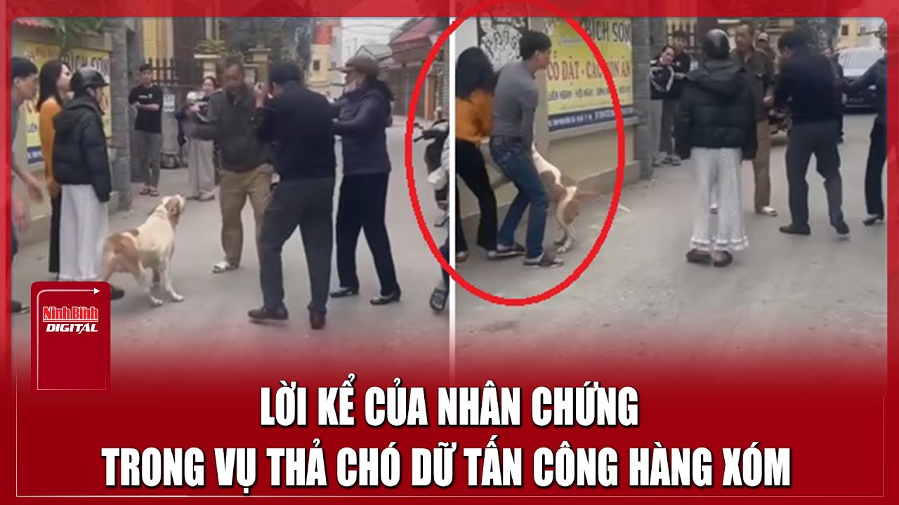 Nhân chứng kể lại giây phút kinh hoàng khi 2 bố con ở Hà Nội chặn xe, xua chó dữ tấn công hàng xóm