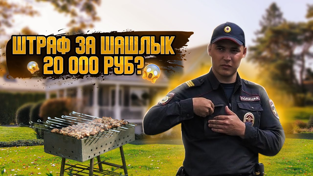 Можно ли жарить шашлык на даче 2022. Новые штрафы за шашлык и разведение огня