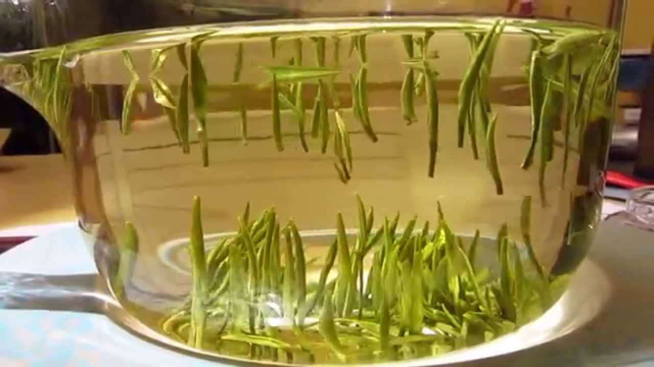 Green tea blablabla magazine asmr