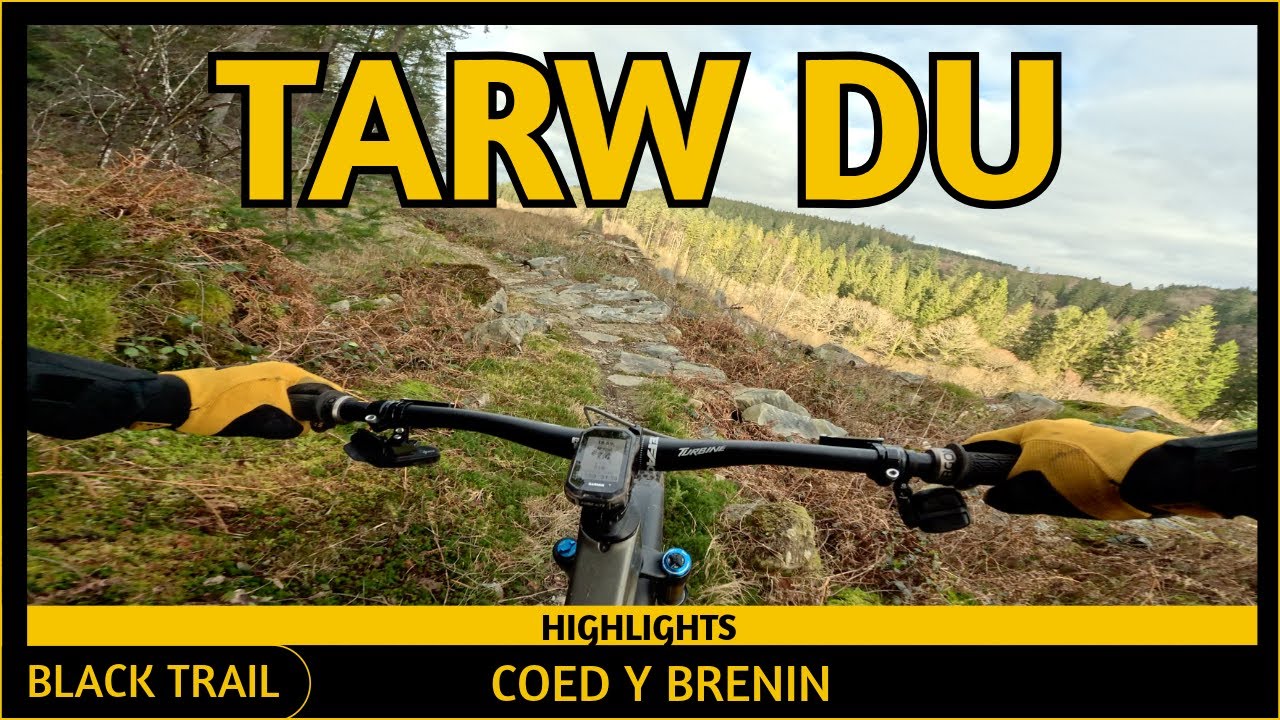 Tarw Du (Black) **HIGHLIGHTS** - Coed Y Brenin - Wales - Dec '25