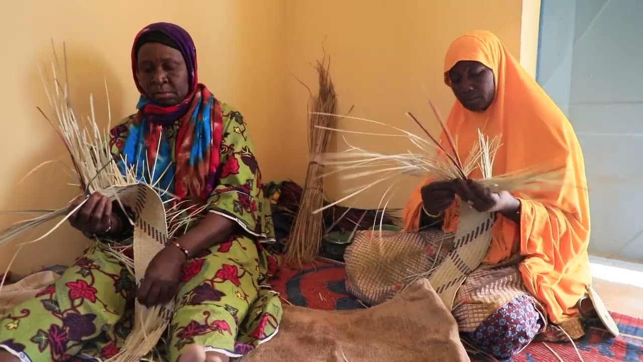 🇲🇱 MALI - Appui au développement socio-économique dans la commune de Temera