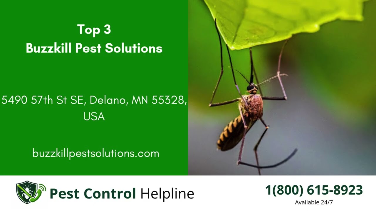 Top 3 Pest Control in Monticello