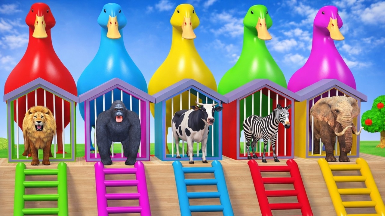 Long Slide Game with Cow Elephant Gorilla Hippopotamus Tiger - 3d Animal Game Funny 3d Animals