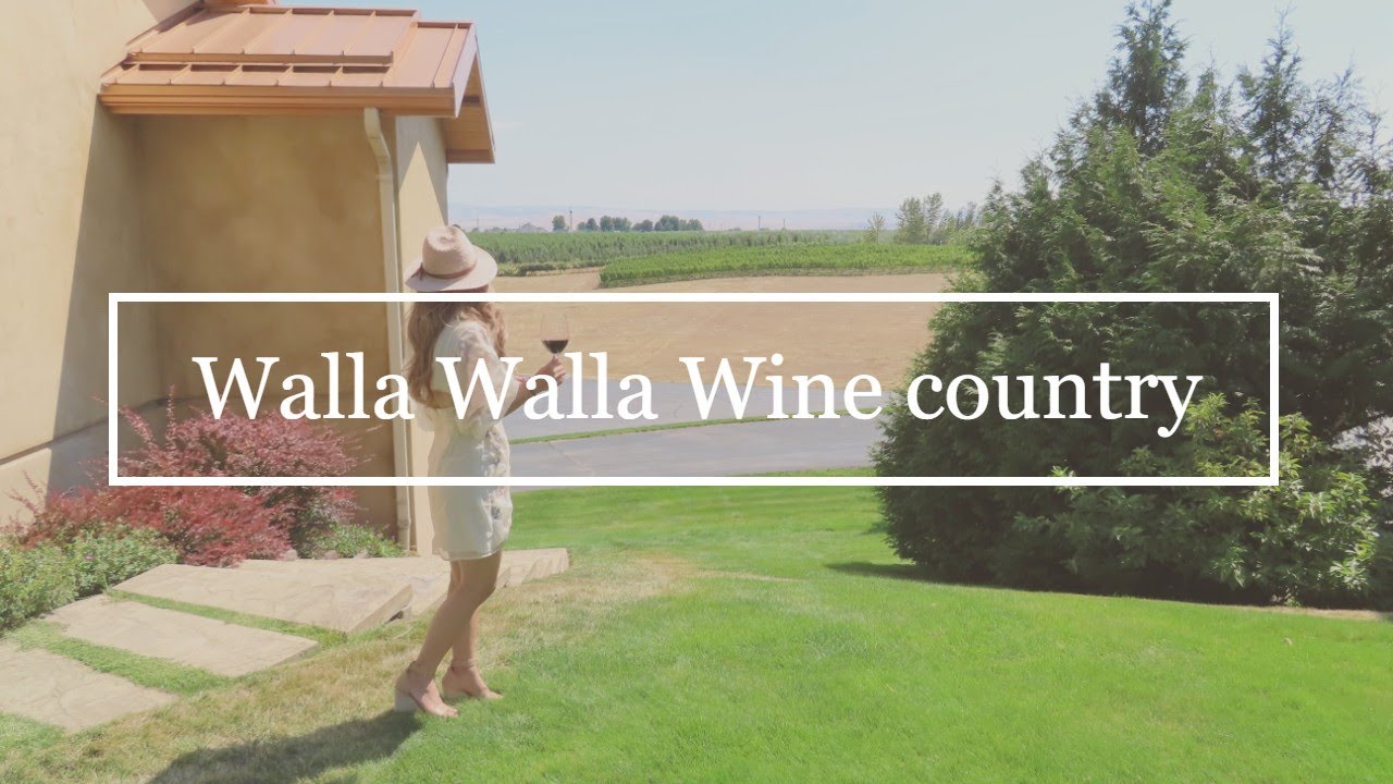 Best wineries in Walla Walla, Washington 🍷 l wine country tasting tour! 와이너리 투어 추천