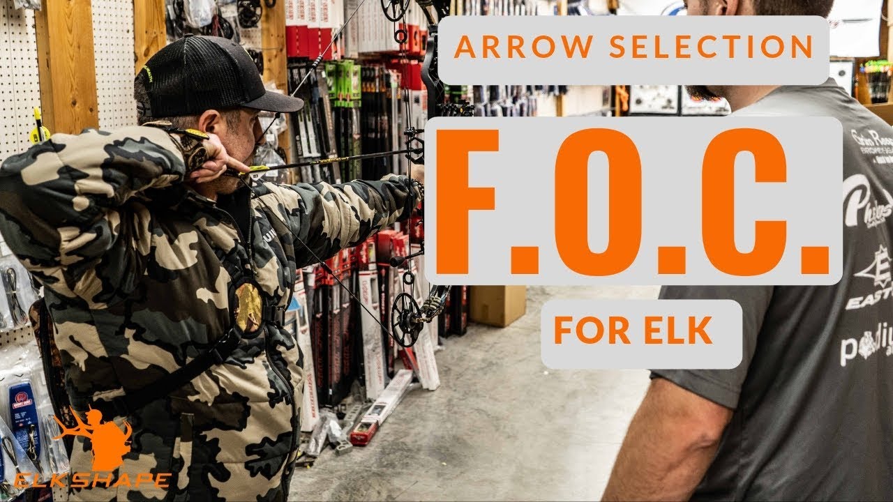 Selecting the RIGHT Arrow for Elk