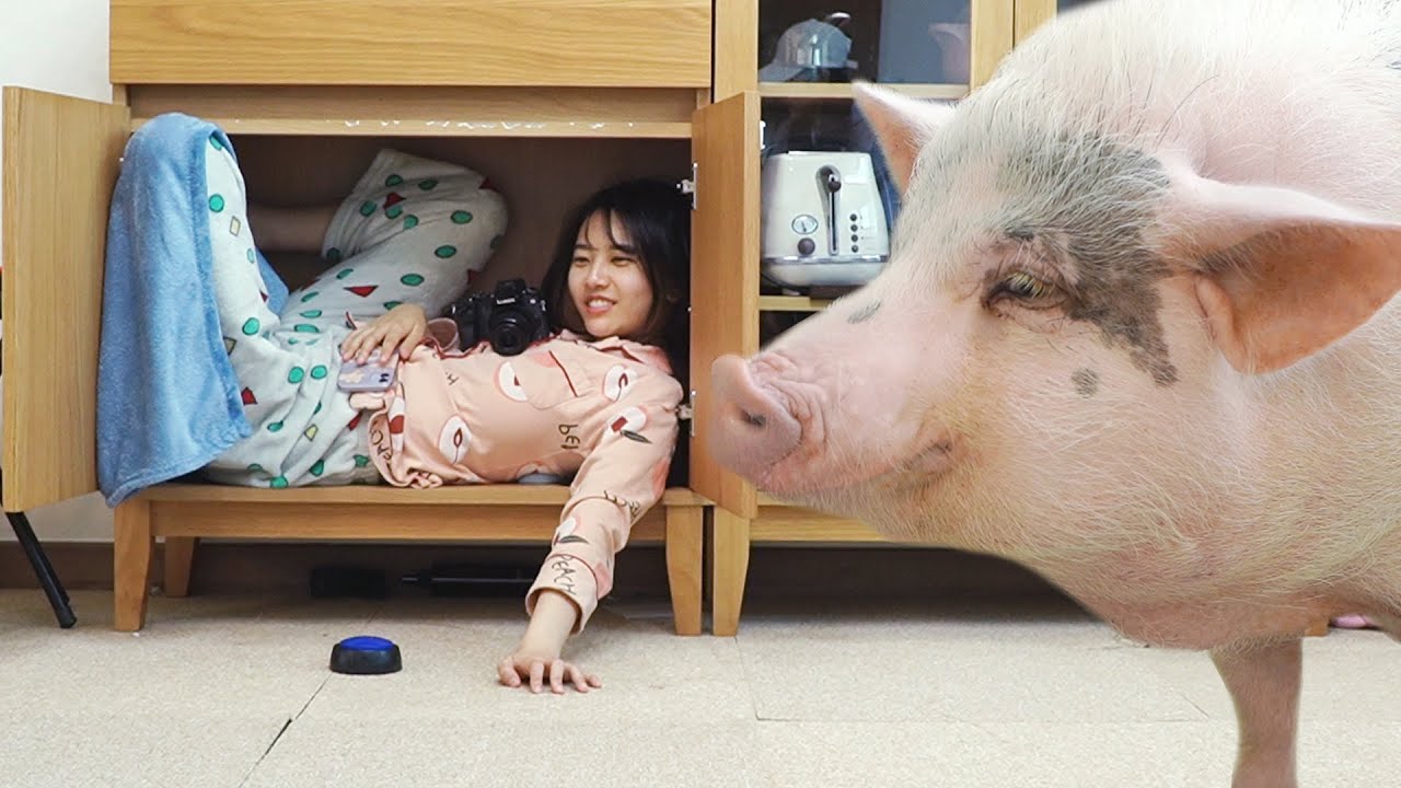 I live hiding from the pigs (Feat. Back surgery cost $17K)