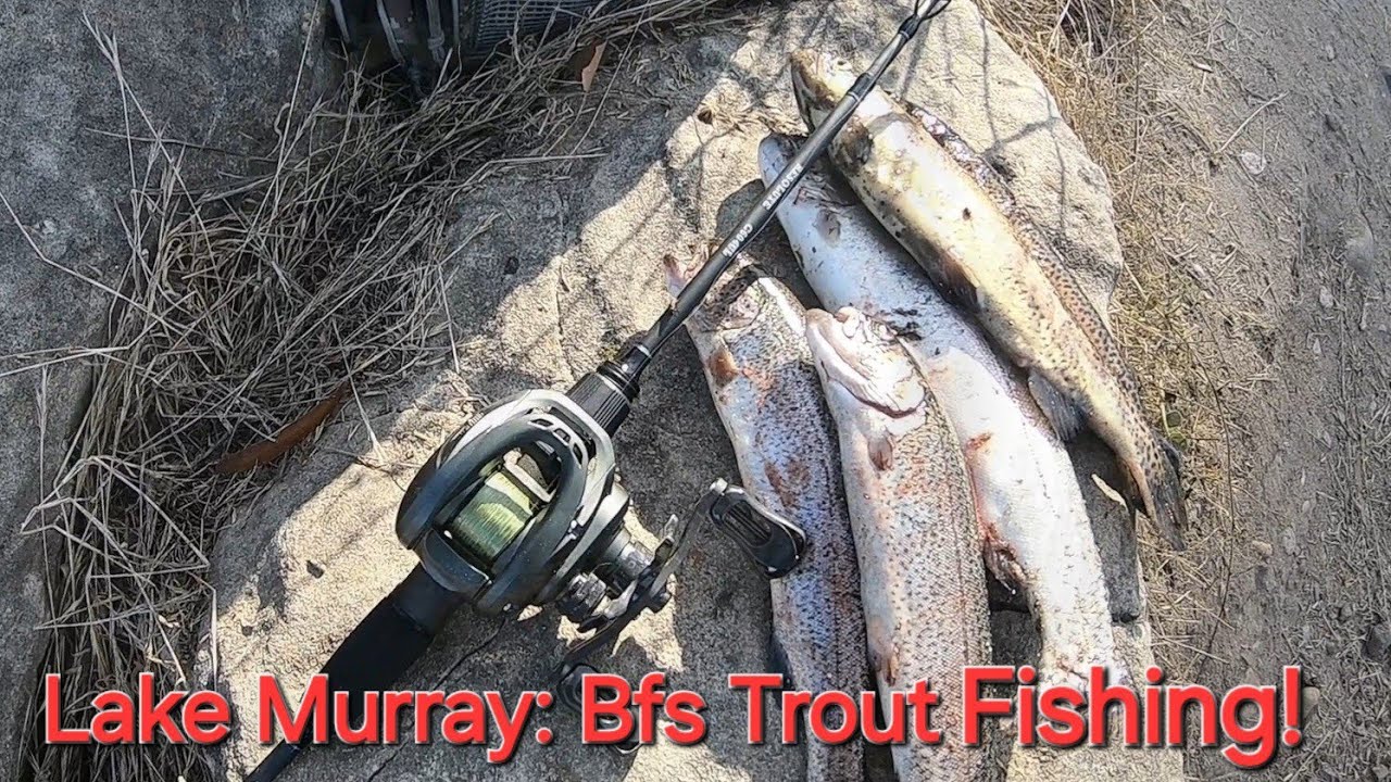 San Diego bfs Trout fishing: Lake Murray!