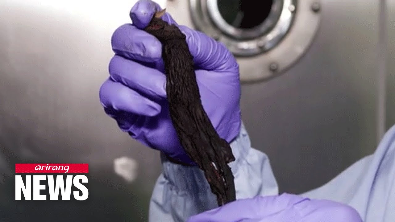 S. Korean researchers discover black ginseng is effective in improving prostate health