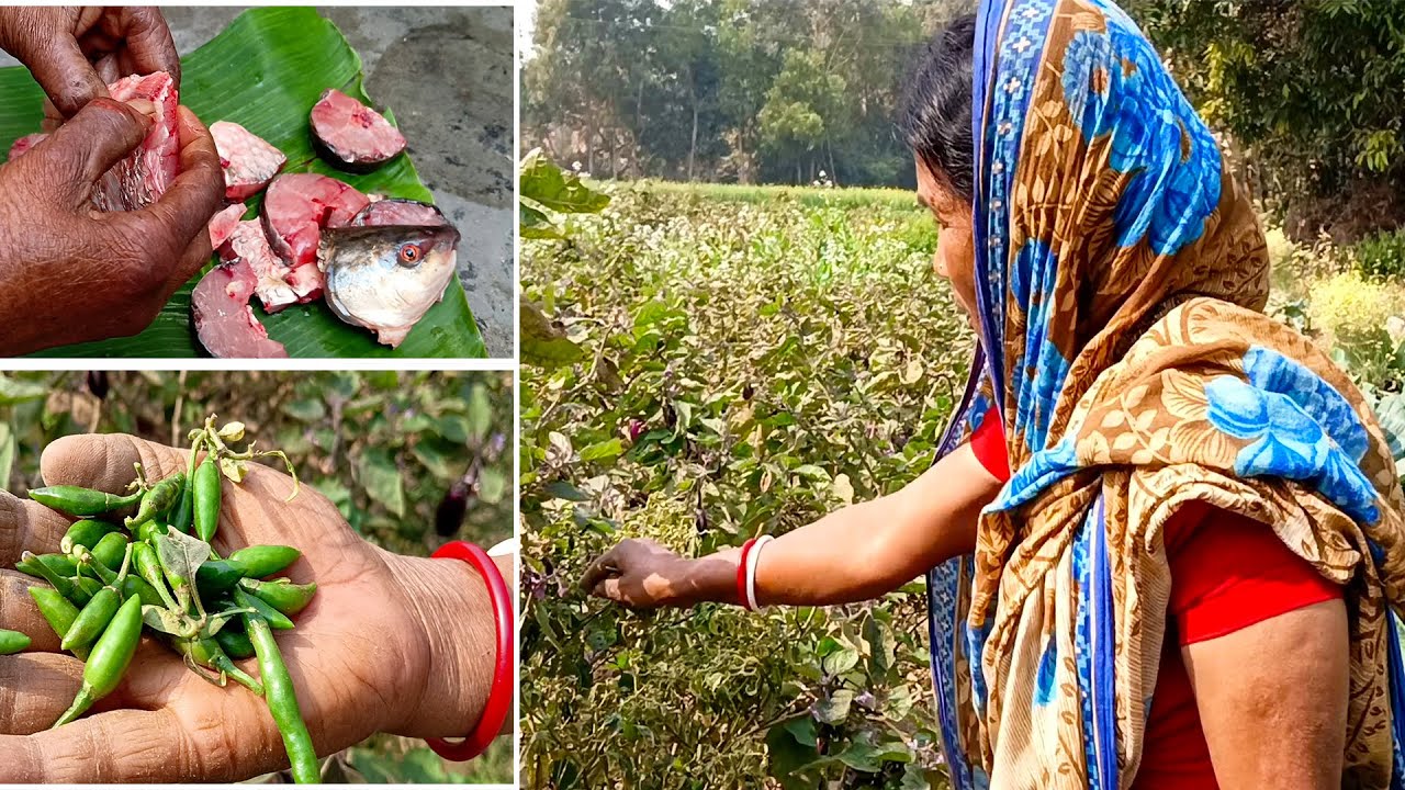 দেশি বরশালি লঙ্কা দিয়ে কাতলা মাছের ঝাল  | Spicy Katla Fish Curry with Fresh Chilies & Coriander