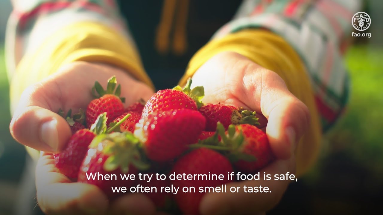 Chef Heinz Wuth - World Food Safety Day