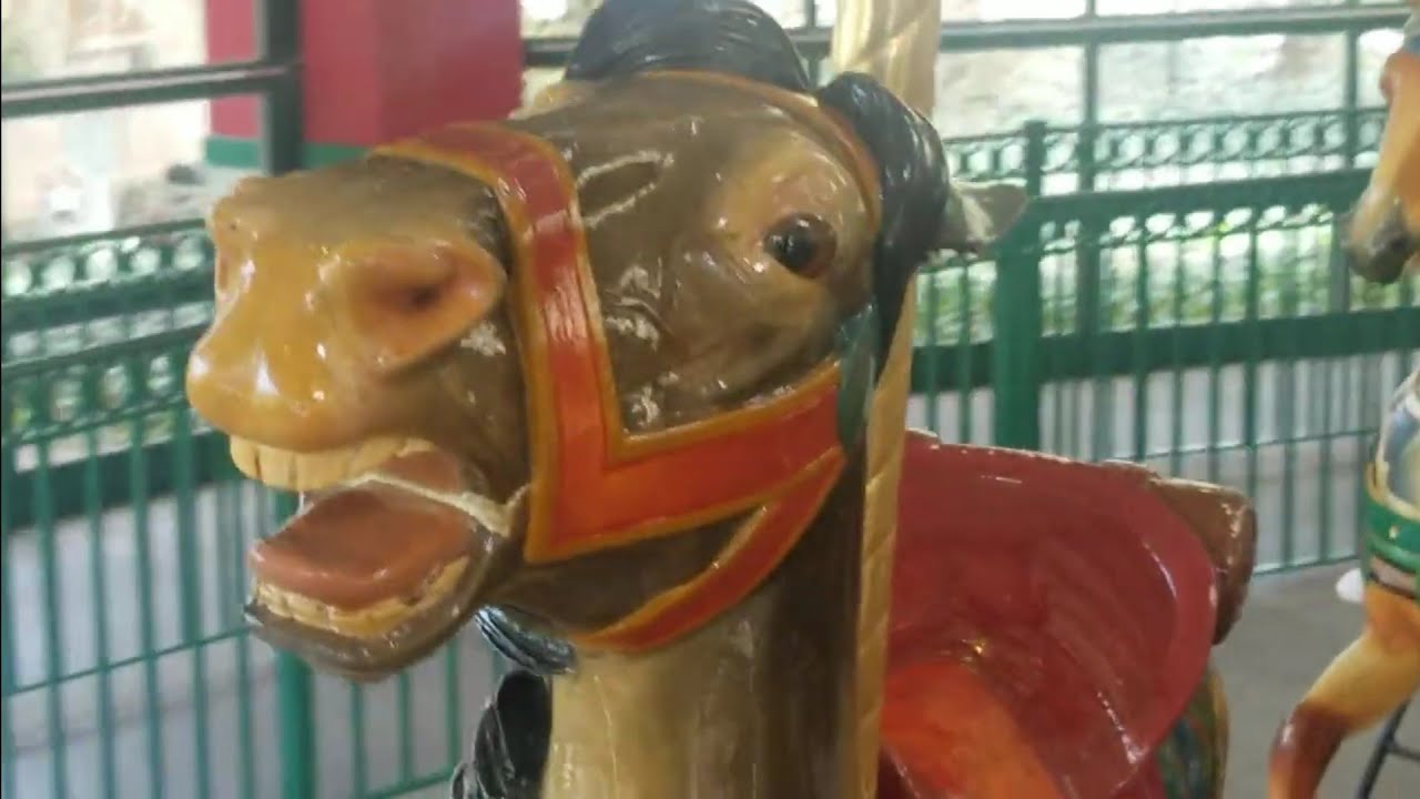 Columbus Zoo KingKeilani Ride 6th Leader Horse 1914 2024️⃣ April 14 2024