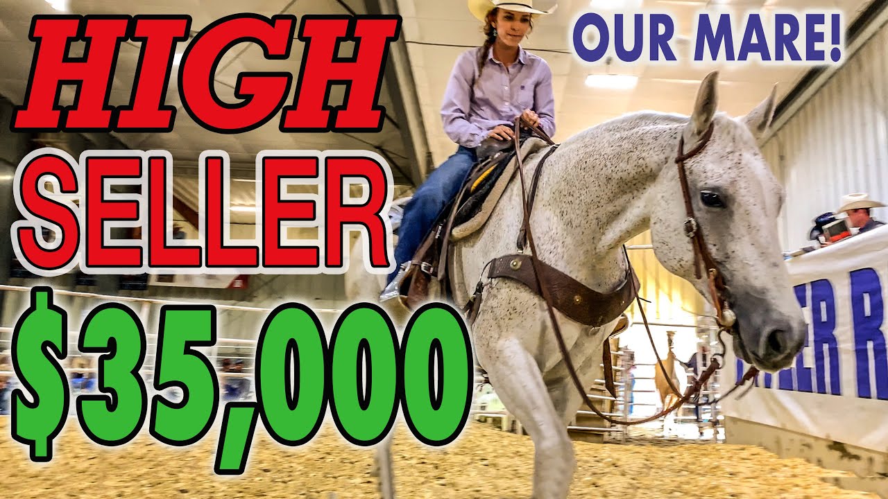 TWO DAY HORSE AUCTION AT THE PITZER RANCH | FALL SALE 2023 |