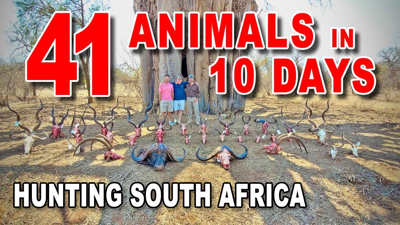 41 Animals in 10 Days - South Africa | 