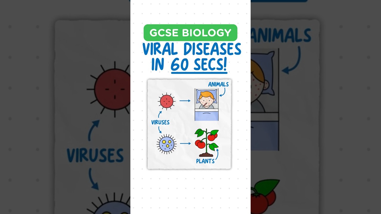 GCSE BIOLOGY - Viral Diseases