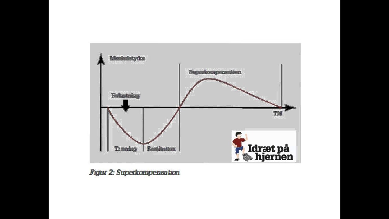 superkompensation