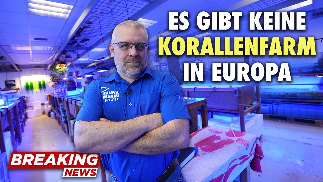 Es gibt keine Korallenfarm in Europa