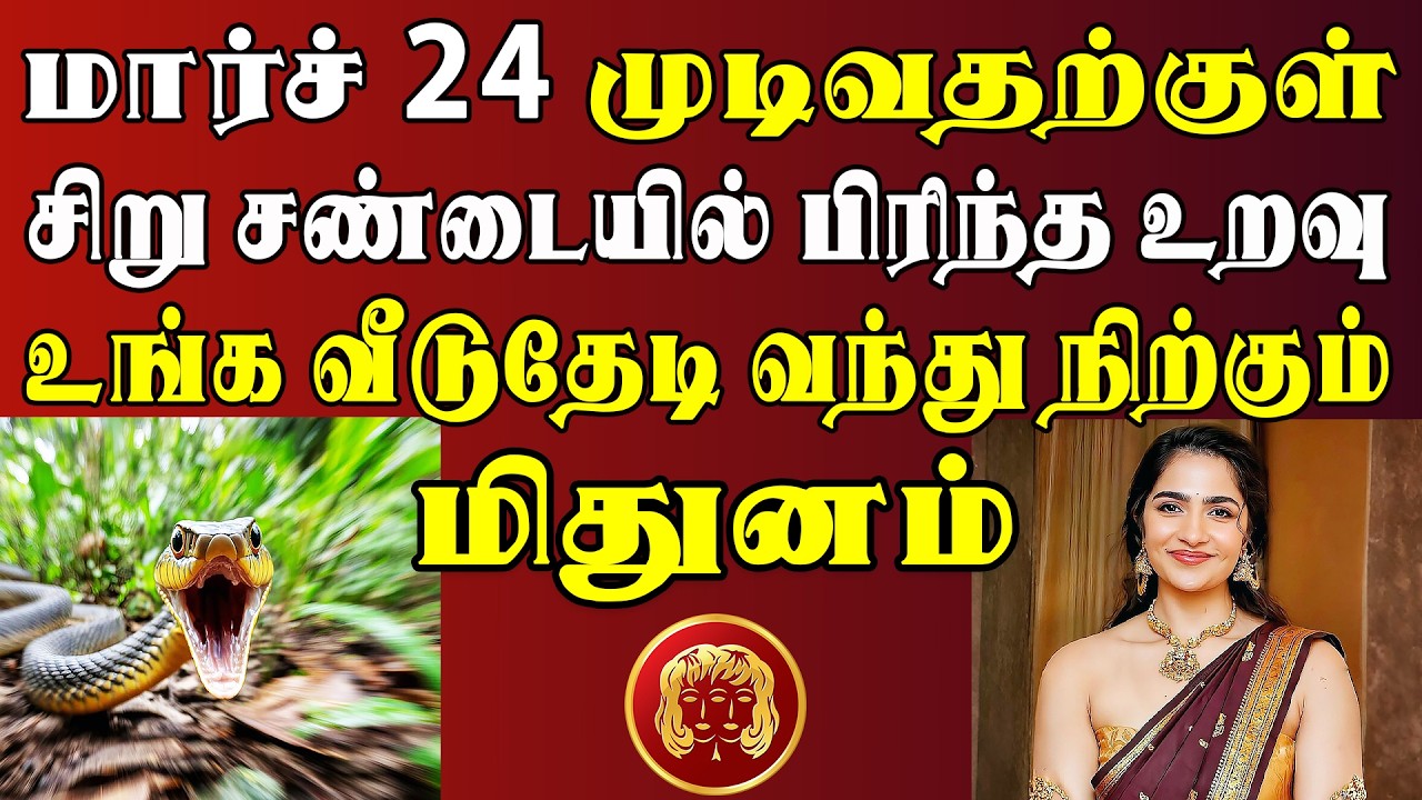 தலை கால் புரியாதவர்கள் தயவு செய்து வீடியோ பாருங்க புரியும் | Mithunam Rasi | மிதுனம் ராசி