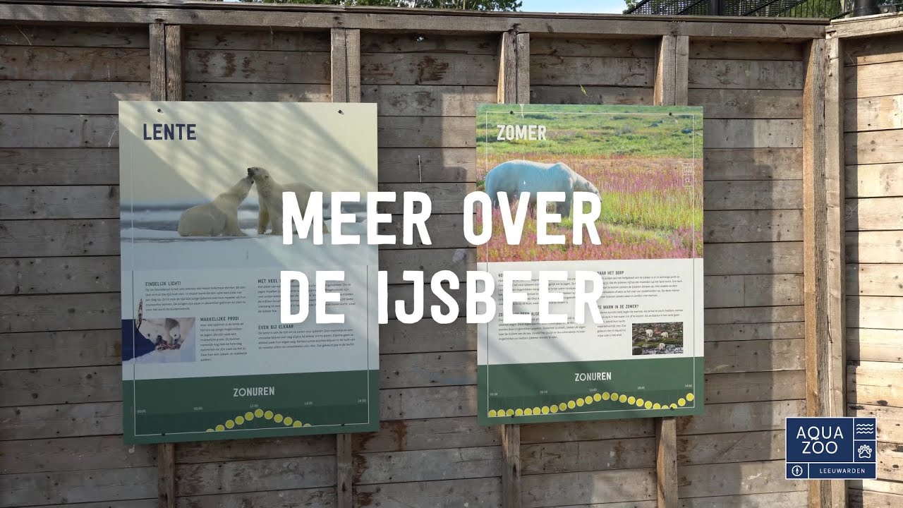 Meer over de ijsbeer - IJsberen zijn bedreigd in het wild