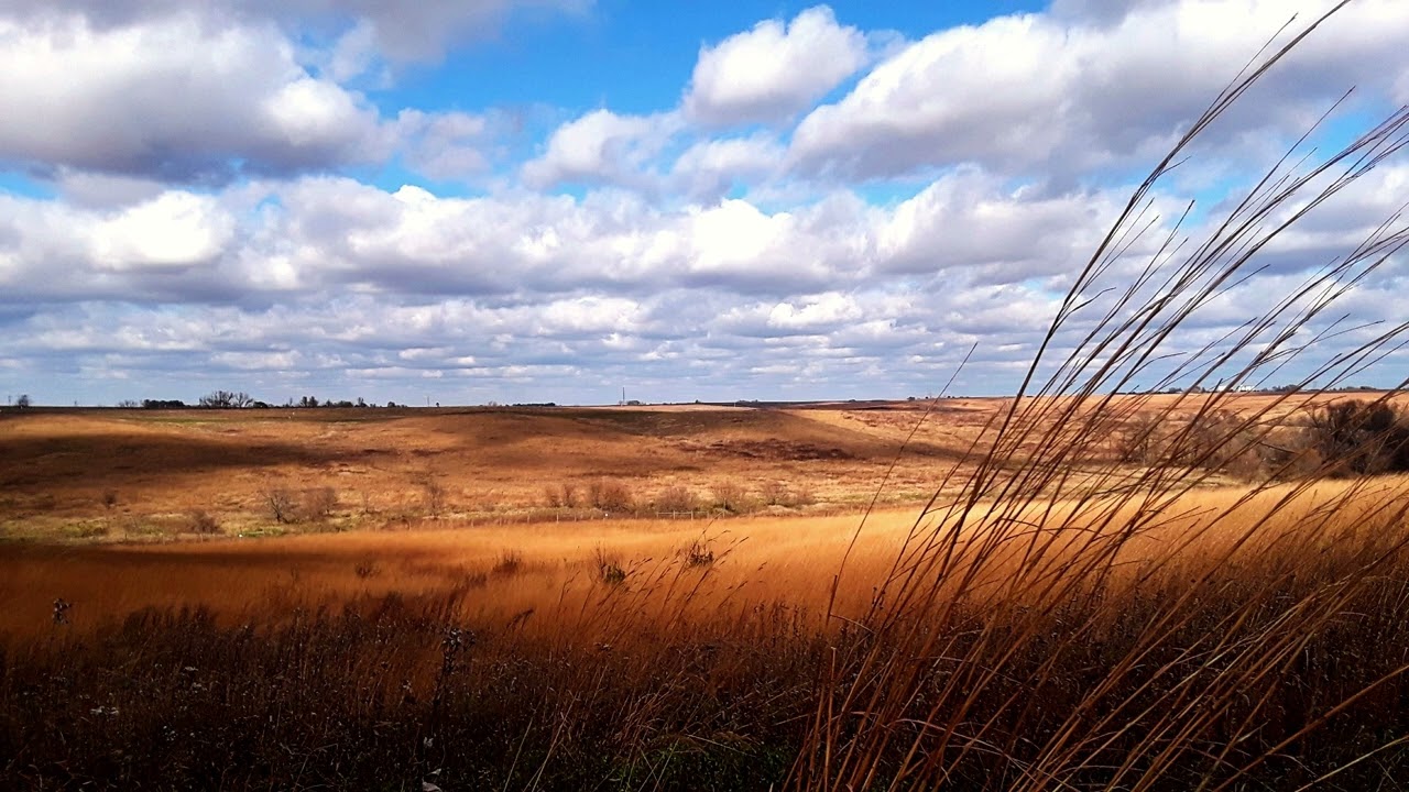 Relaxing Ambient Prairie Sounds