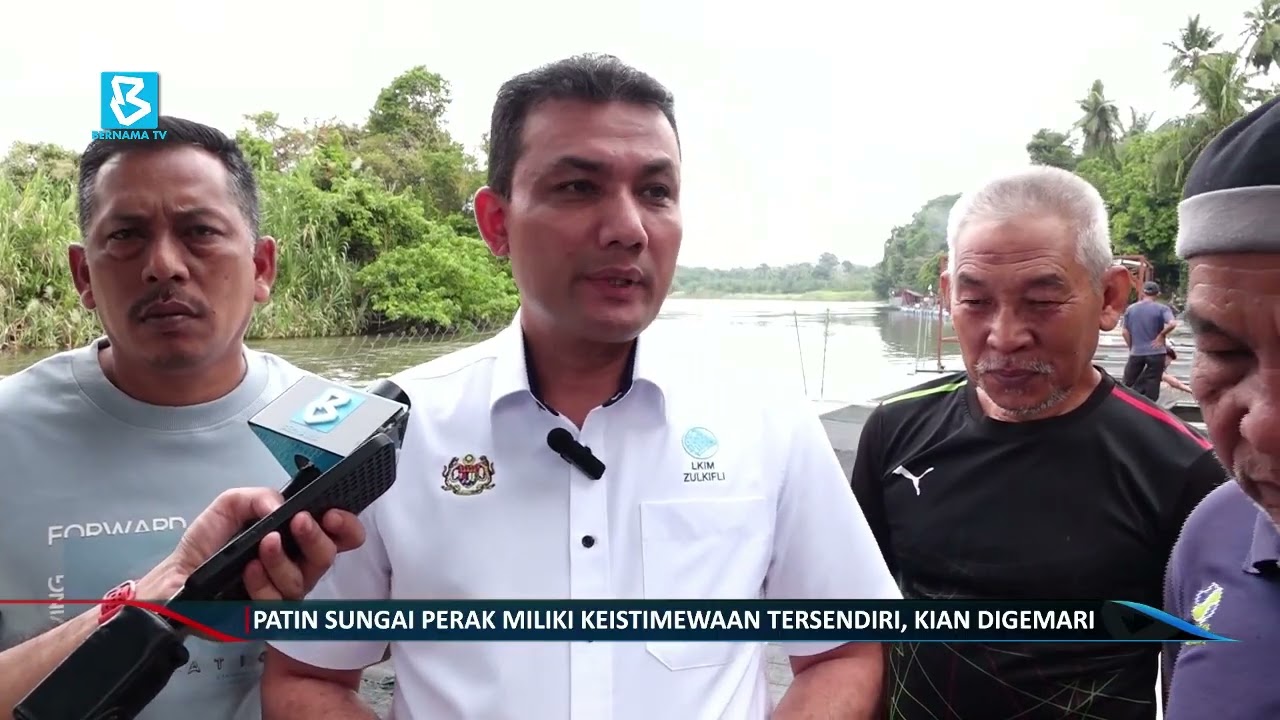 Patin Sungai Perak miliki keistimewaan tersendiri, kian digemari