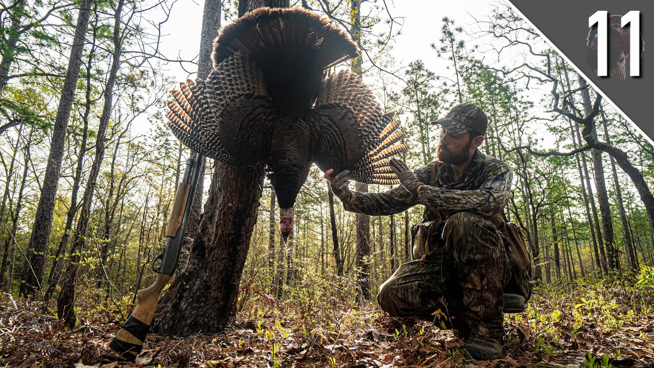 ALABAMA PUBLIC LAND GOBBLER!!! (Dealing with Quiet Turkeys)
