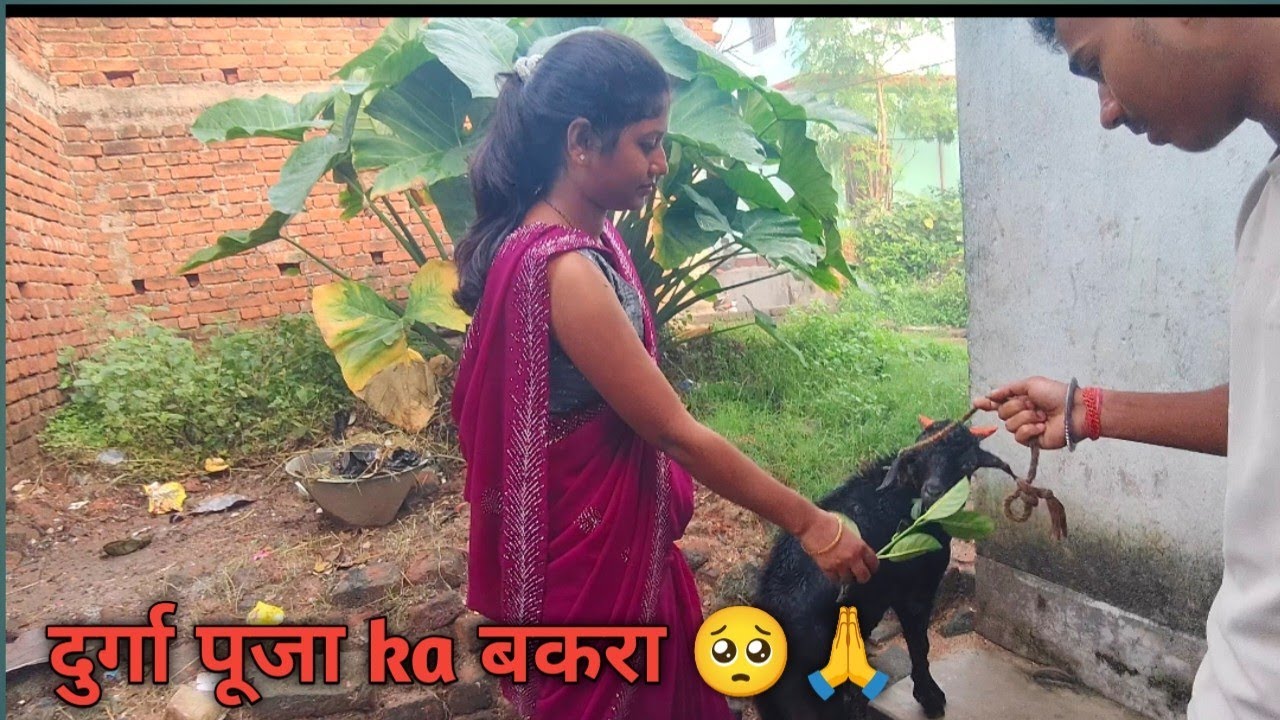 बलि का बकरा 🥺🙏||