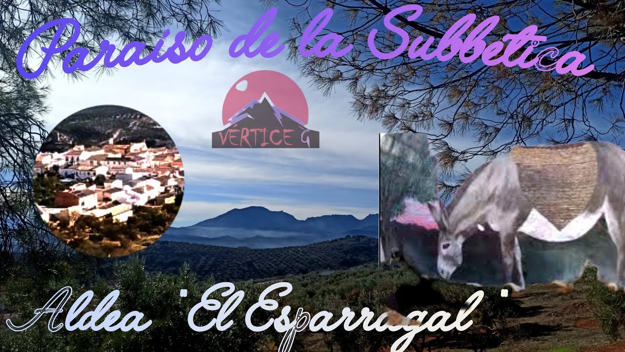 PARAÍSO DE LA SUBBÉTICA, ALDEA EL ESPARRAGAL 