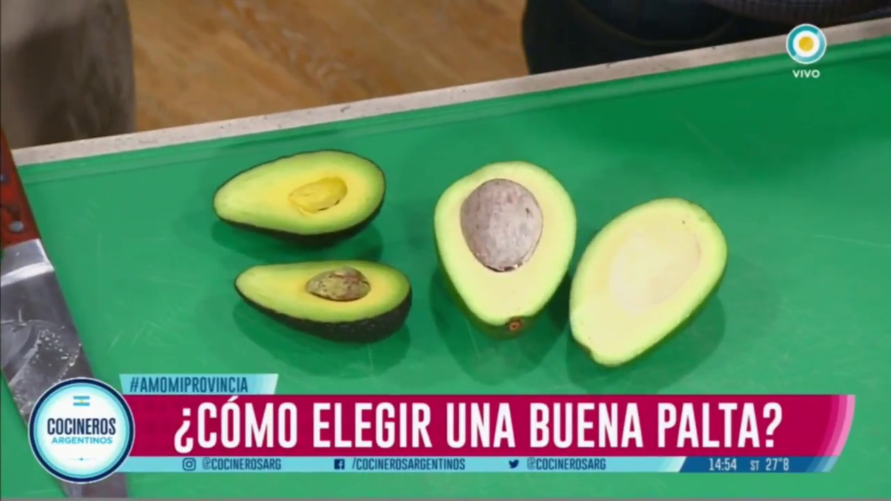 Todo sobre la palta