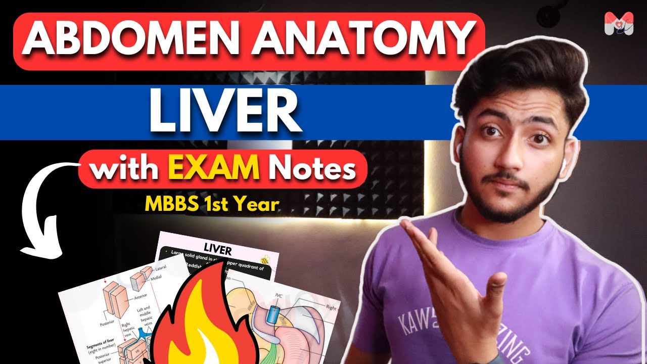 Abdomen Anatomy- Liver | MBBS 1st Year | Full Explanation with Exam Notes | MBBS World
