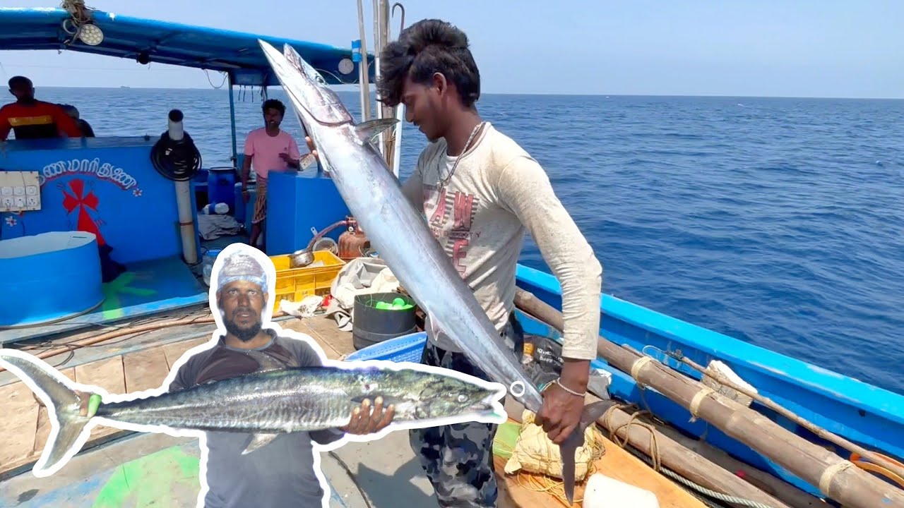 தங்கு கடலில் ஐந்தாம் நாள் பிடித்த பெரிய வஞ்சரம் மீன்கள்