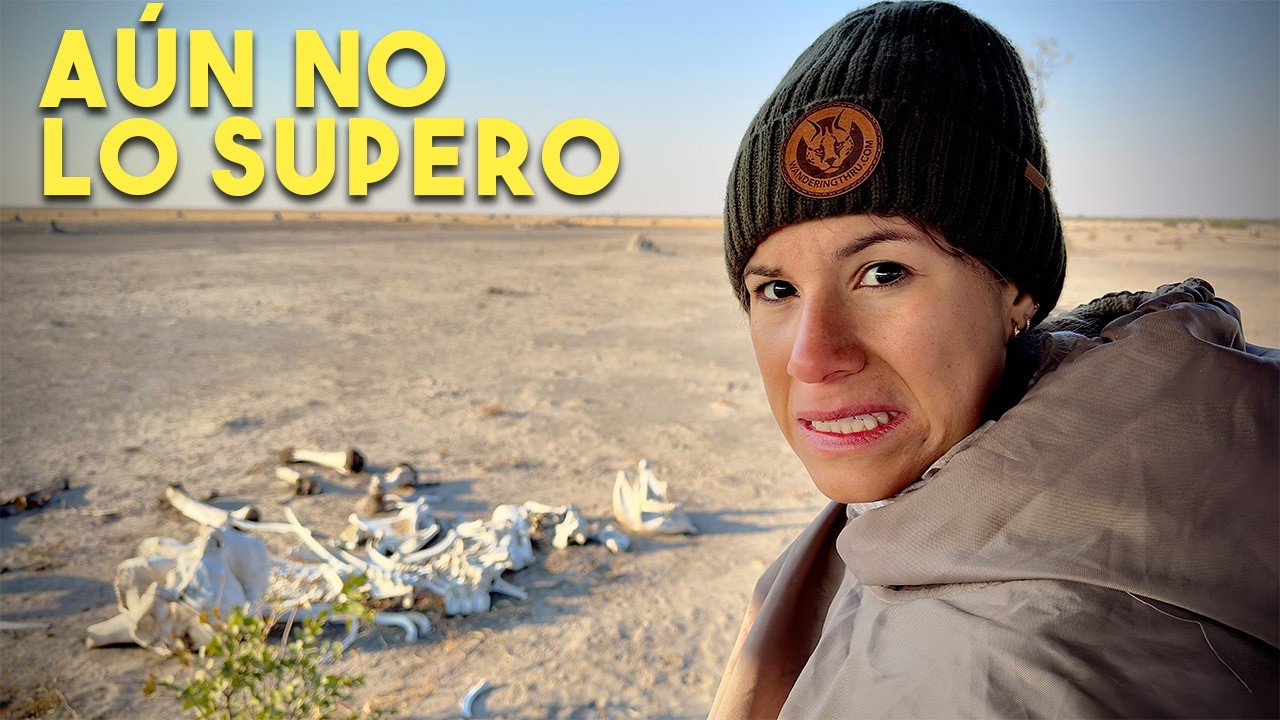 LO MEJOR DE BOTSWANA ÁFRICA. EL MEJOR PAÍS PARA HACER SAFARI