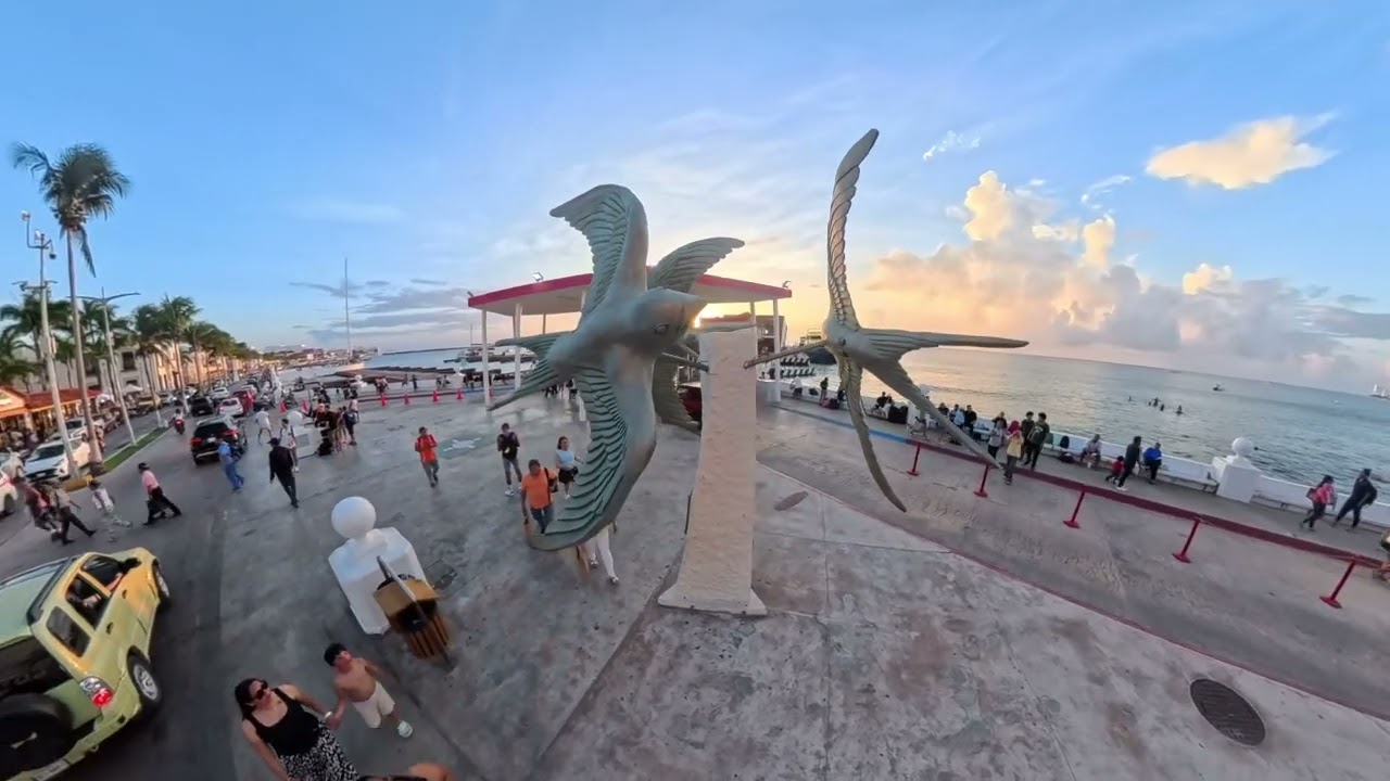 Cozumel 2025 #6