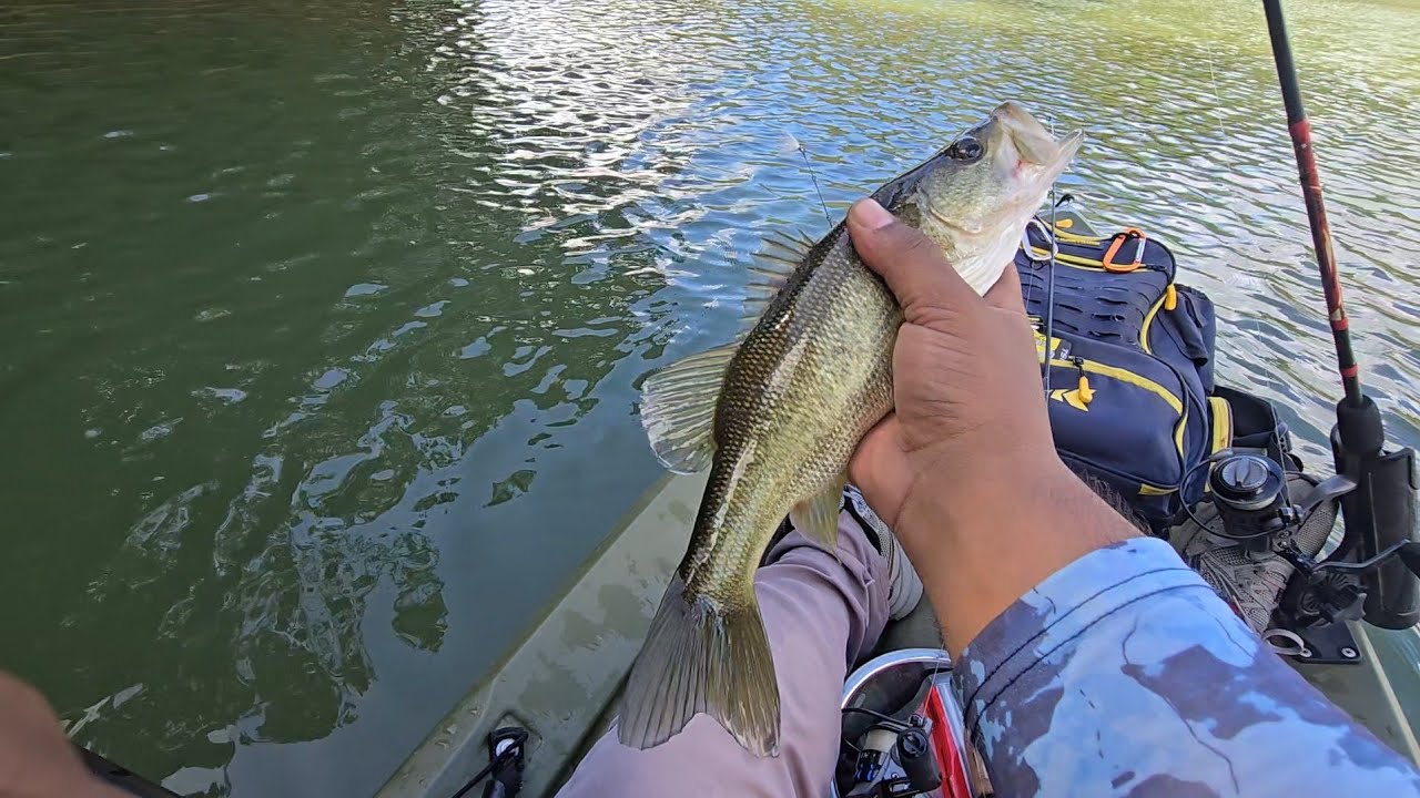 Video #15: Pescando Día lento en Cidra P.R./ Fishing multiple spices in lake Cidra Puerto Rico