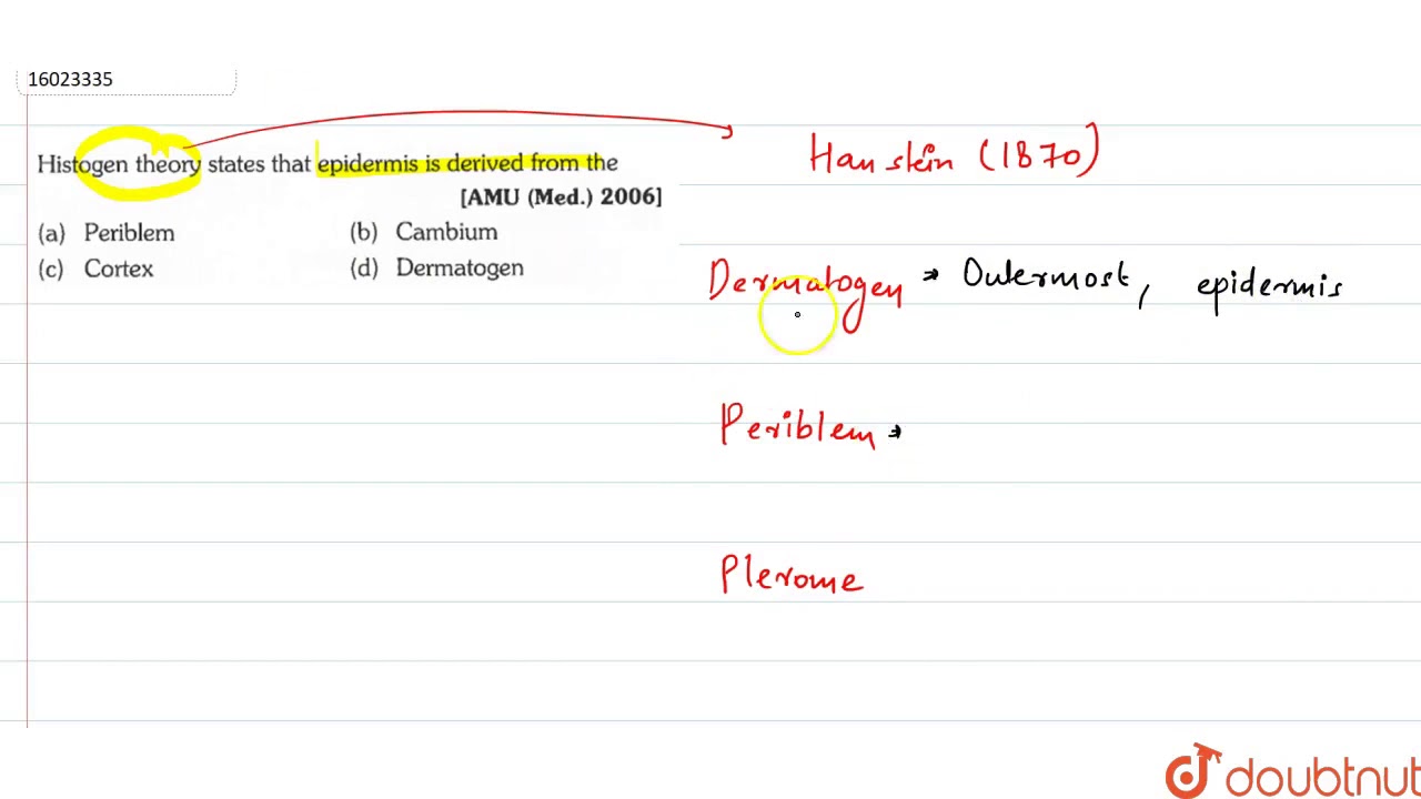 Histogen theory states that epidermis is  derived from the