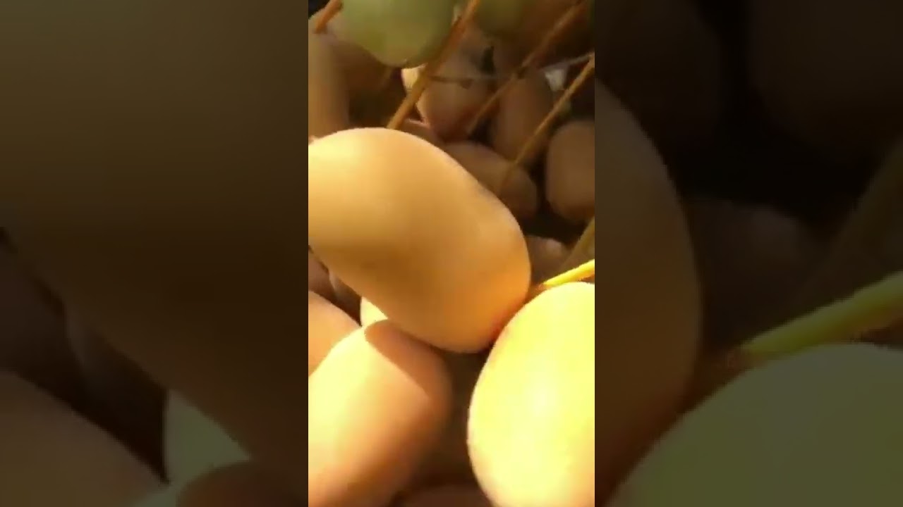 بريم ابو احمد الحلاوي