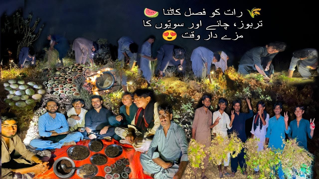 🌾 Night Harvest & Watermelon Party 🍉 | Desi Chai, Seviyan & Fun with Friends #TharVlog