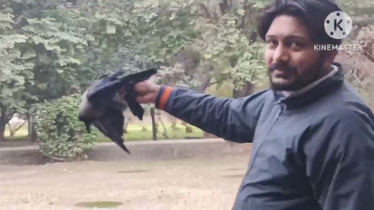 GOD help those who help themselves/ we are only byname Helpers / Birds are best then Humans 