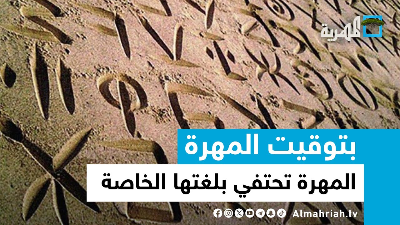 المهرة تحتفي بلغتها الخاصة ونائبة رئيس برلمان الصومال تصل الغيضة | بتوقيت المهرة