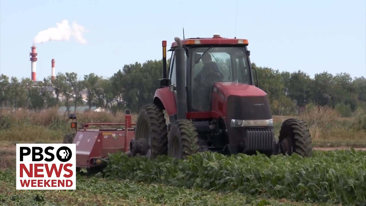 Rural Montana factory closure disrupts local economy, farming community