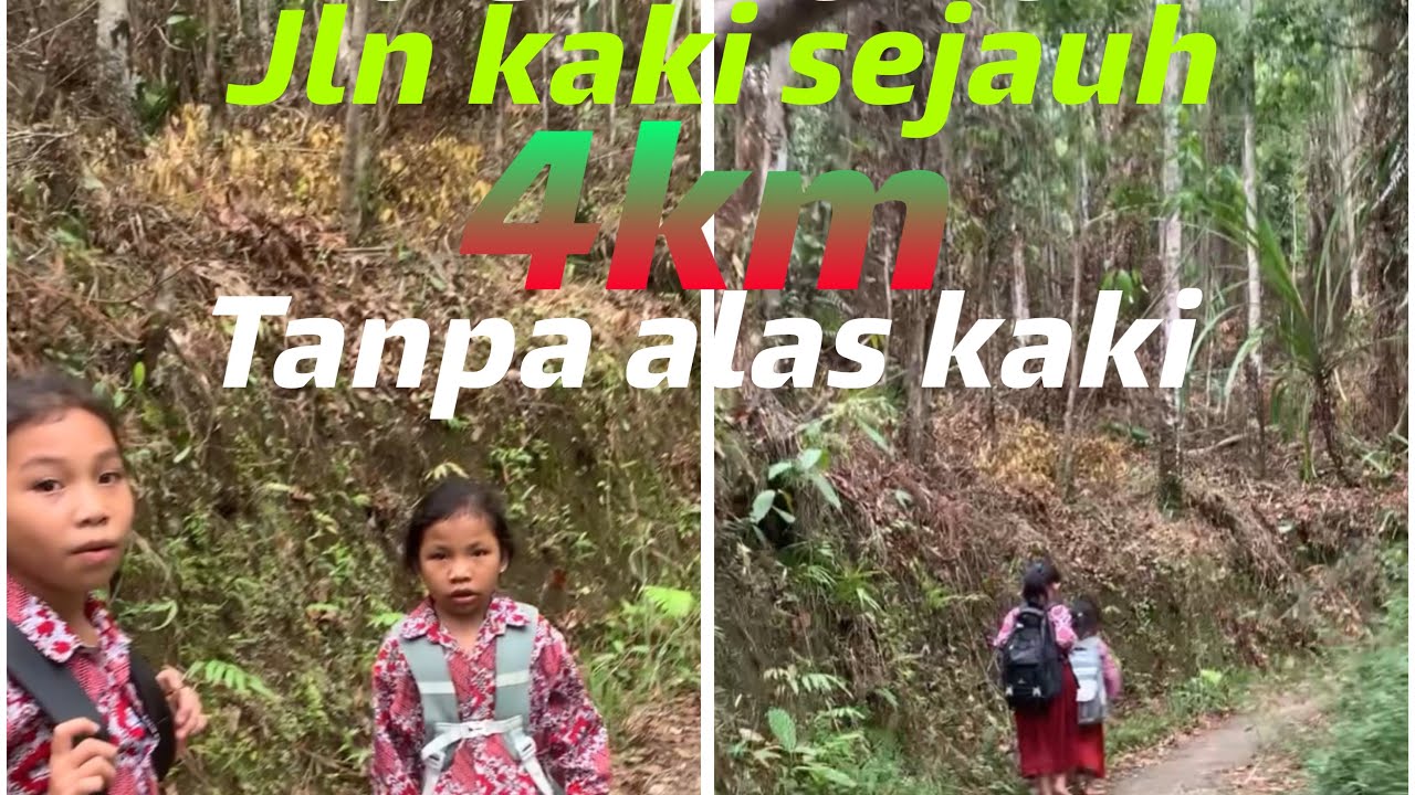 Anak ekolah SD jalan kaki sejauh 4km