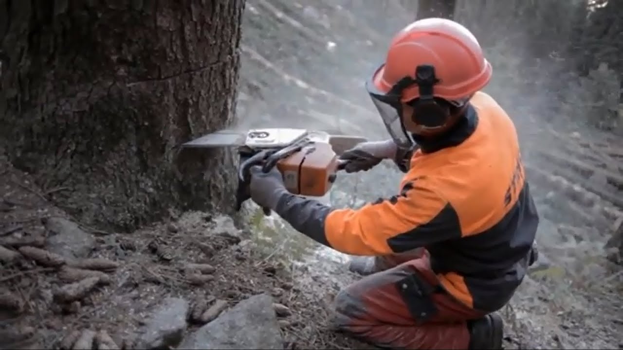 Ritorno al bosco (il lavoro del boscaiolo in Lombardia)