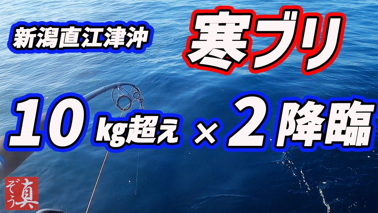【新潟寒ブリ13kgオーバー】激闘ジギング！夢の10kg超えがまさかの2本！脂ノリ抜群絶品料理