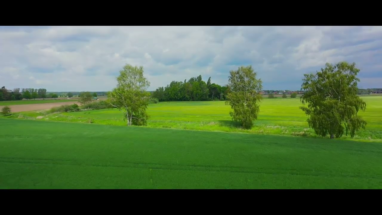Rapsfeld mit der Mavic2Pro