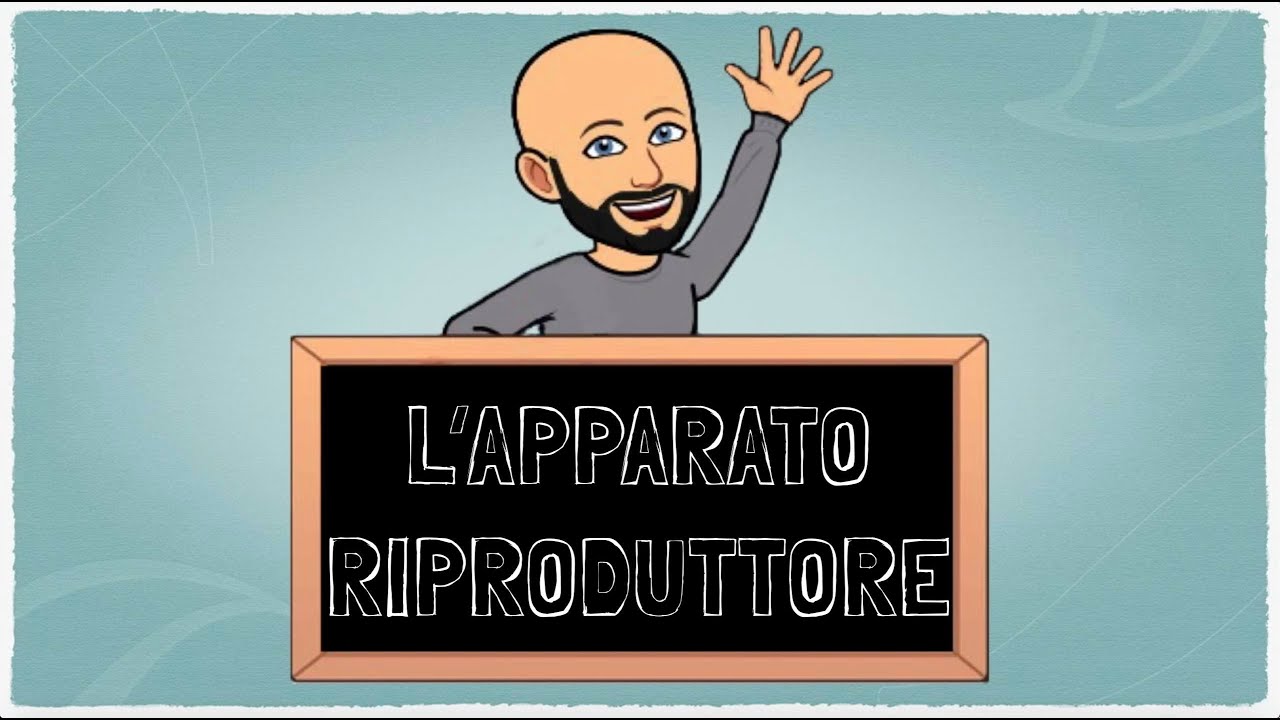 L'Apparato Riproduttore