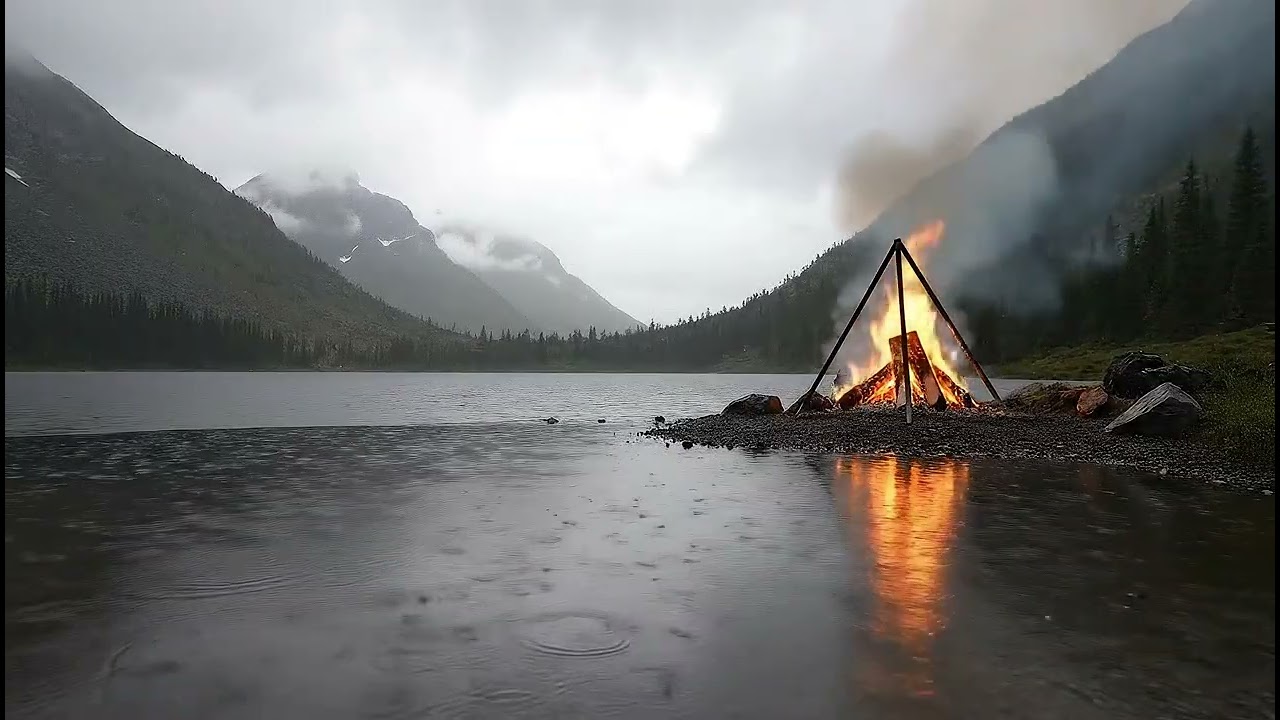 7 Hours Tides of Whisper Gentle Cosmic Resonance ｜Dr  Allison Lu ｜Otter Whistle