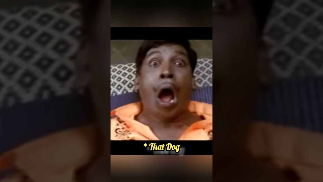Pochee!. #comedy #comedyvideo  #pet #petscomedy #tamil #tamilshorts #funny #tamilcomedy