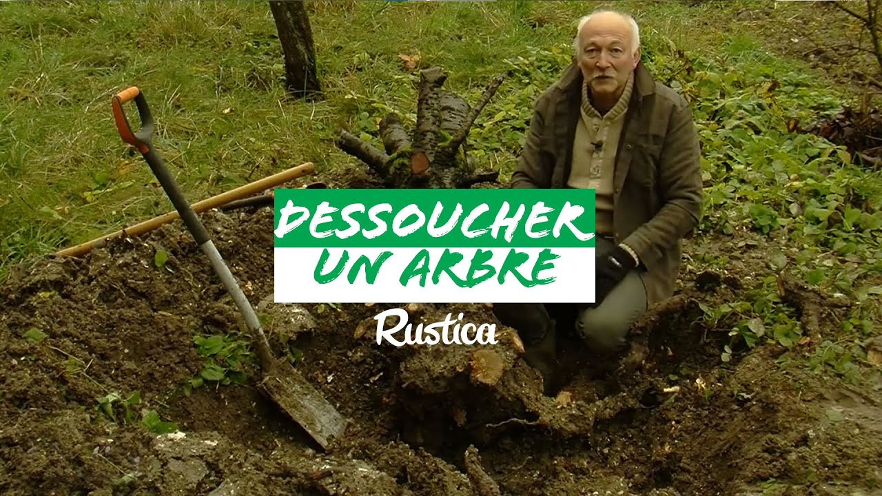 Dessoucher un arbre